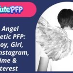 Angel Aesthetic PFP