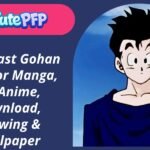 Beast Gohan PFP