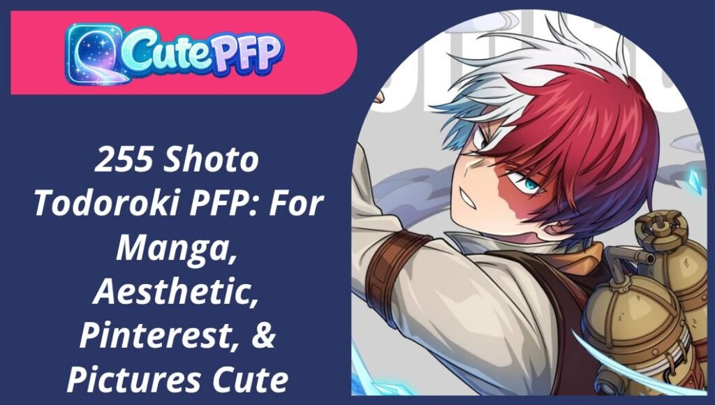 Shoto Todoroki PFP