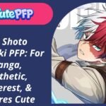 Shoto Todoroki PFP