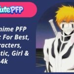 Anime PFP Bleach