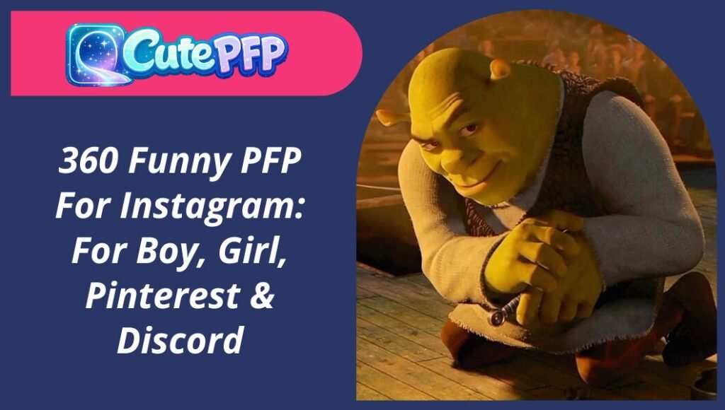 Funny PFP For Instagram