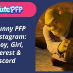 Funny PFP For Instagram