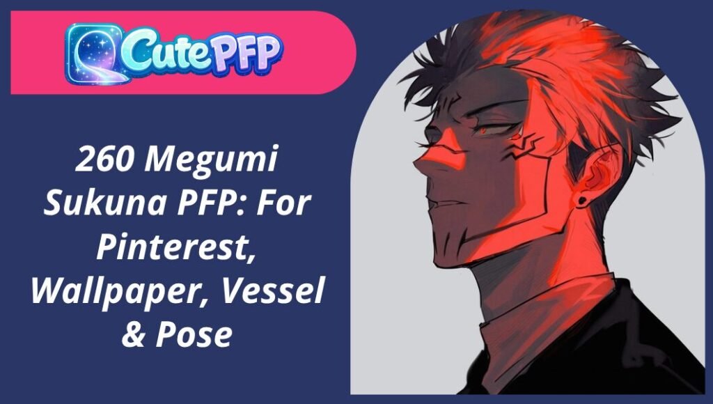 Megumi Sukuna PFP