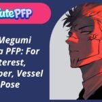 Megumi Sukuna PFP