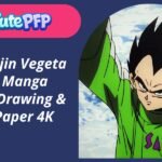 Majin Vegeta PFP