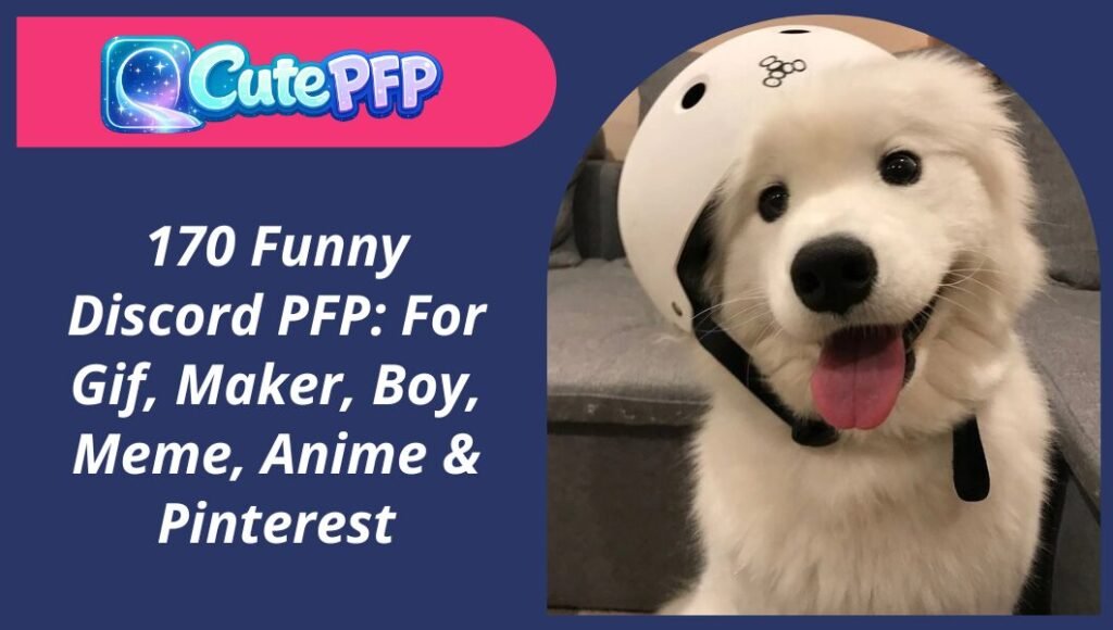 Funny Discord PFP