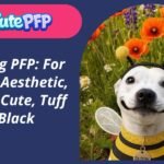 Dog PFP