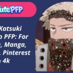 Katsuki Bakugo PFP