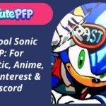Cool Sonic PFP