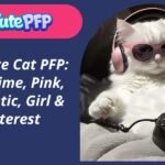 Cute Cat PFP