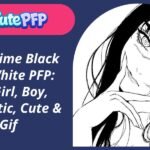 Anime Black and White PFP
