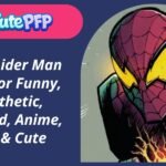 Spider Man PFP