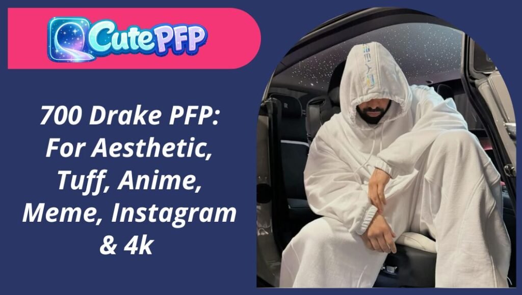 Drake PFP