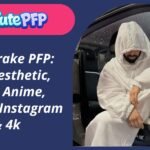 Drake PFP
