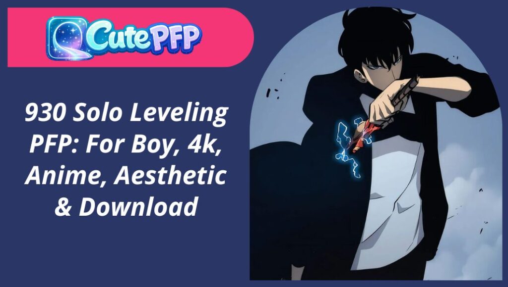 Solo Leveling PFP