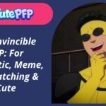 Invincible PFP
