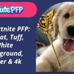 Fortnite PFP