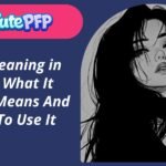 PFP Meaning in Text